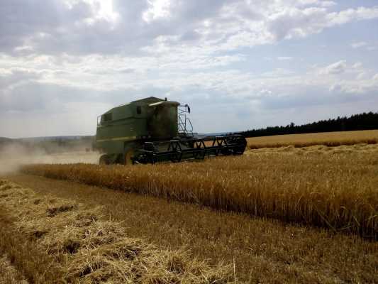 kombajnová sklizeň Rakovník